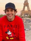 where to watch discovering david dobrik|Discovering David Dobrik for international viewers